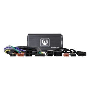 Phoenix Gold ZXMP-MB1 PnP AMP-KIT